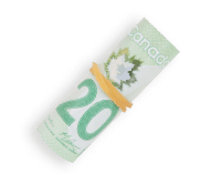 iCash-20